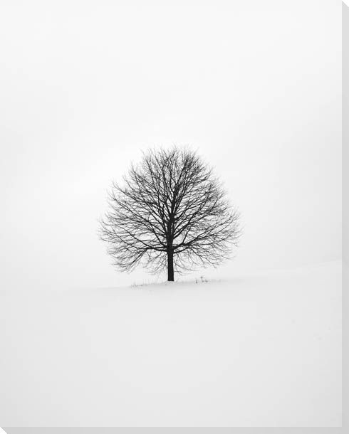 Solitary 1 Wrapped Canvas Giclee Art Print Wall Art