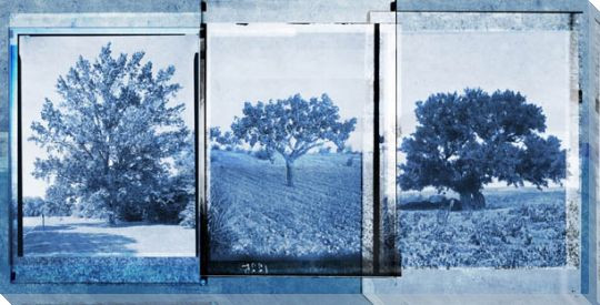 Treescape 3 Wrapped Canvas Giclee Art Print Wall Art