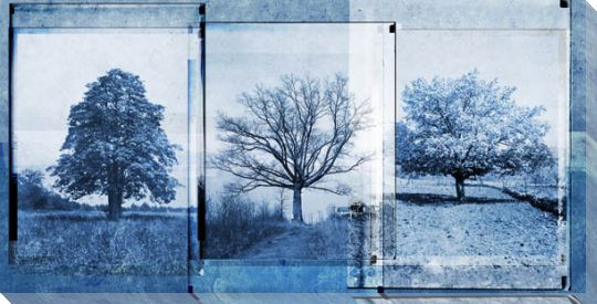 Treescape 1 Wrapped Canvas Giclee Art Print Wall Art