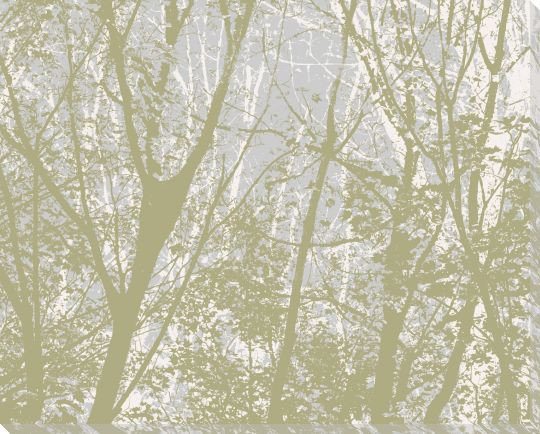 Amidst the Trees II Wrapped Canvas Giclee Art Print Wall Art