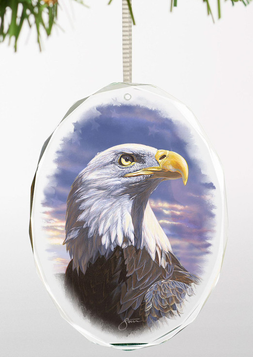 Pride Bald Eagle Bird Oval Glass Christmas Tree Ornaments, Set of 6
