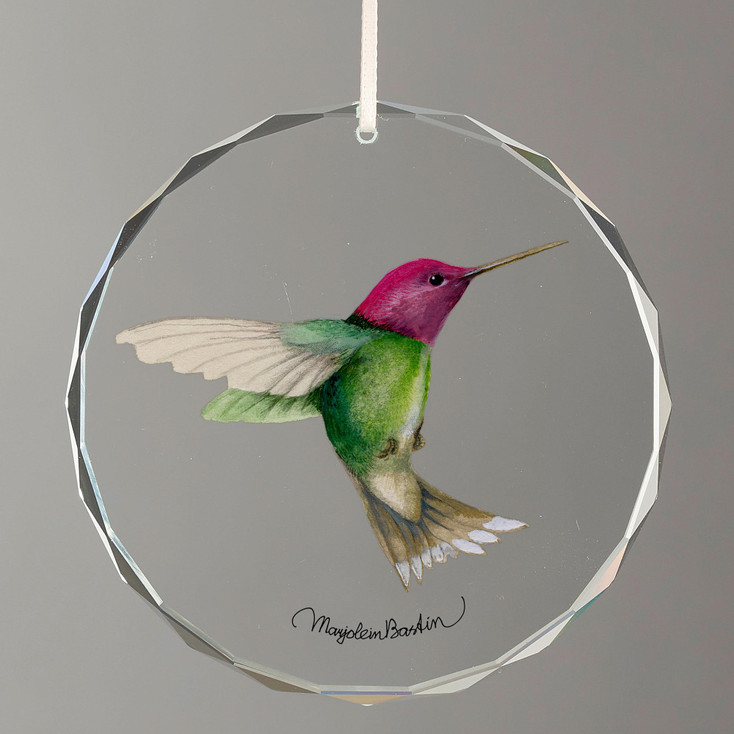 Anna's Hummingbird Round Glass Christmas Tree Ornaments, Set of 6