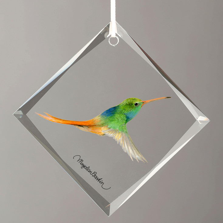 Rufous Tailed Hummingbird Diamond Shape Glass Christmas Tree Ornaments, Set of 6