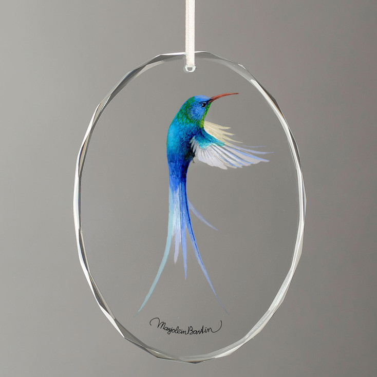 Swallow Tailed Hummingbird Oval Glass Christmas Tree Ornaments, Set of 6