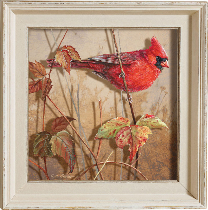 Fall Brilliance Male Cardinal Bird Framed Illusions Art Print Wall Art with Cream Colored Wood Frame