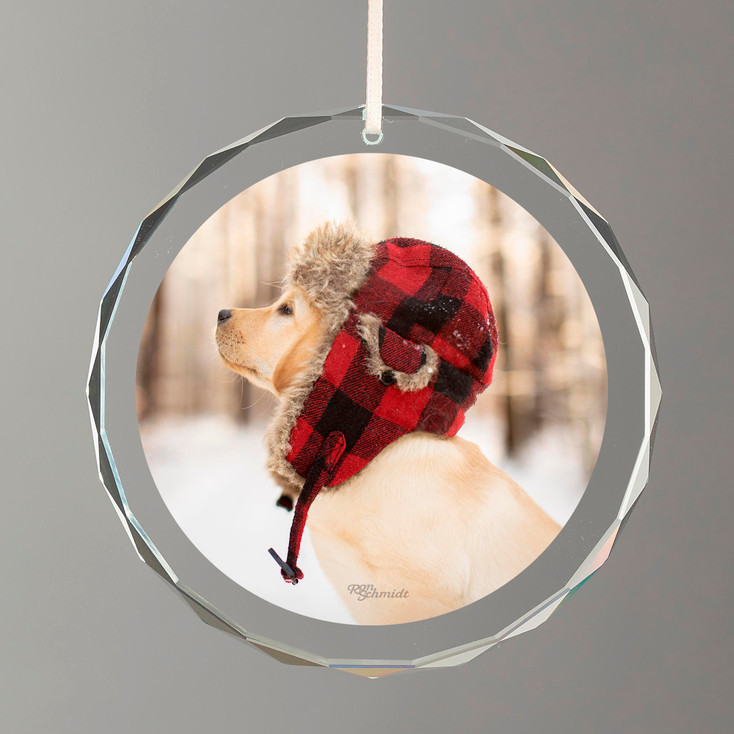 Flannel Yellow Lab Dog Round Glass Christmas Tree Ornaments, Set of 6