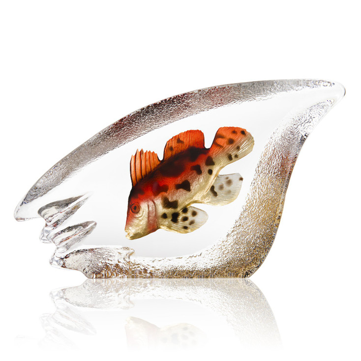 11" Coral Fish Orange Painted Etched Crystal Sculpture by Mats Jonasson