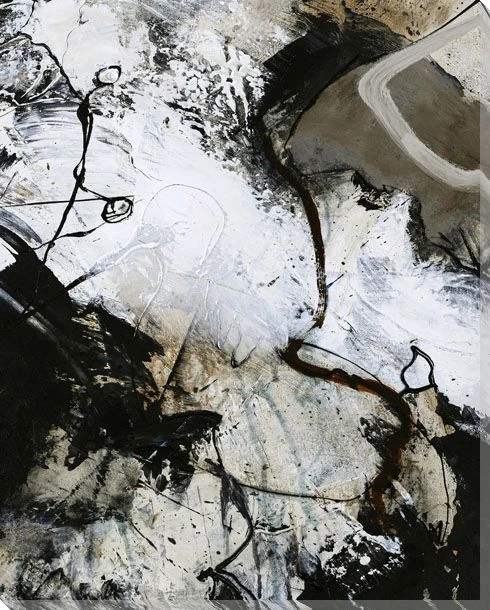 Black and White 3 Wrapped Canvas Giclee Art Print Wall Art