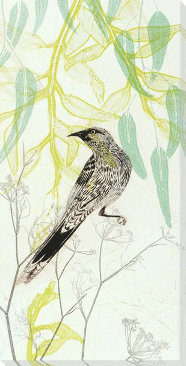 Eager To Fly Wattlebird Wrapped Canvas Giclee Art Print Wall Art