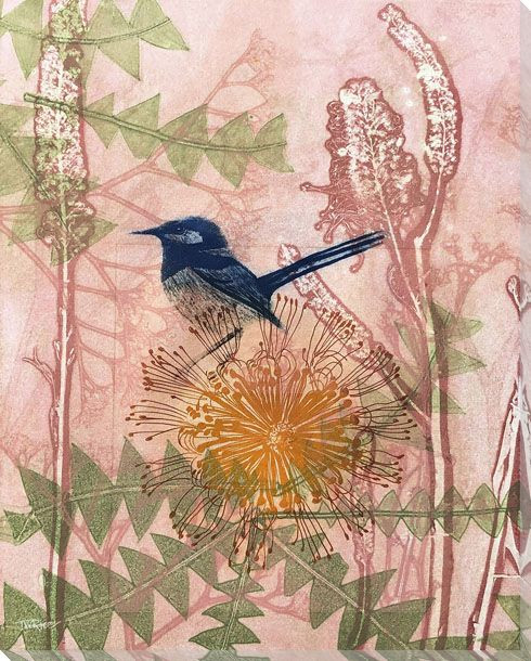 Little Blue Wren Bird Wrapped Canvas Giclee Art Print Wall Art