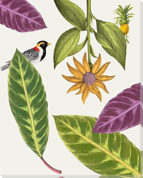 Artistry of Nature IV Wrapped Canvas Giclee Art Print Wall Art