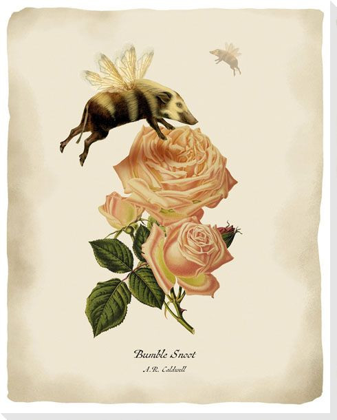 Bumblesnoot Wrapped Canvas Giclee Art Print Wall Art