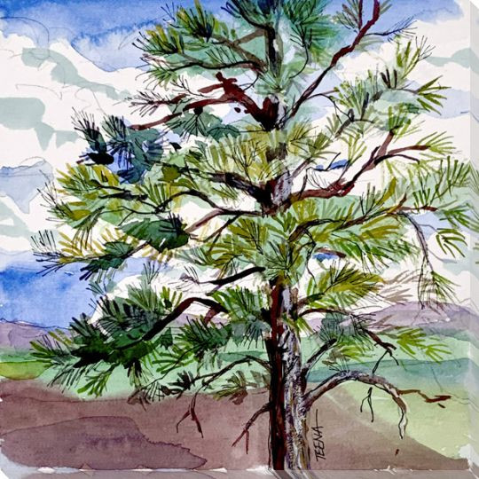 Majestic Pine Wrapped Canvas Giclee Art Print Wall Art