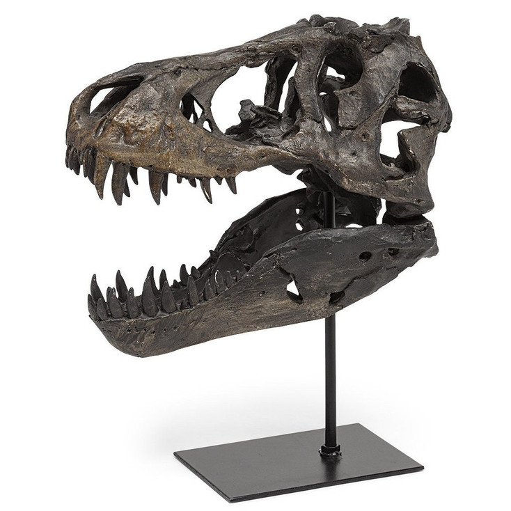 12" Brown Tyrannosaurus Rex Dinosaur Skull Resin Sculpture