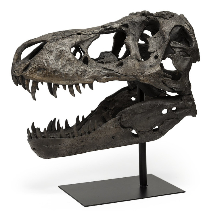 20" T Rex Dinosaur Skull Resin Sculpture