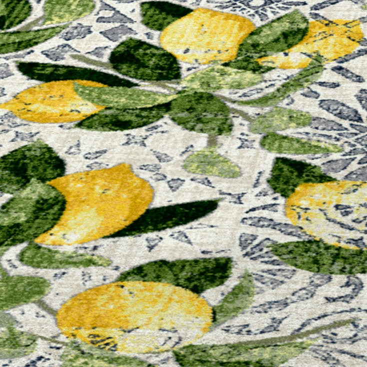 3' x 4' Lemon Bloom Rectangle Scatter Nylon Area Rug