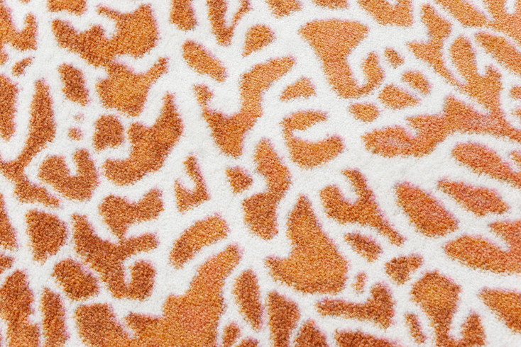 5' x 8' Daydreams Coral Coastal Rectangle Nylon Area Rug