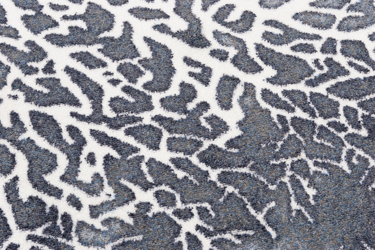 3' x 4' Daydreams Coral Grey Coastal Rectangle Scatter Nylon Area Rug