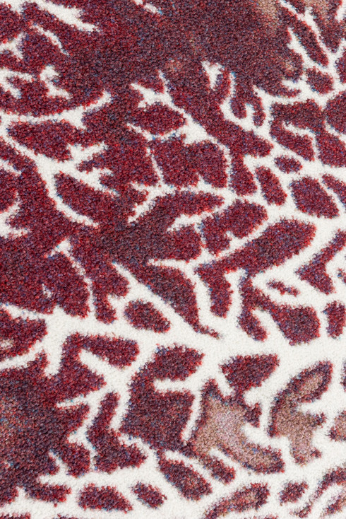 4' x 5' Daydreams Coral Merlot Coastal Rectangle Nylon Area Rug