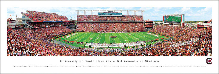 South Carolina Gamecocks Football 50 Yard Line Panoramic Art Print