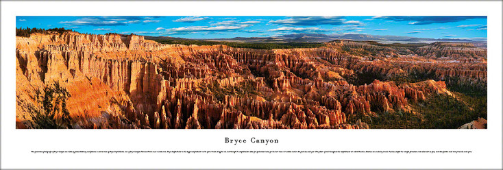 Bryce Canyon National Park Panoramic Art Print