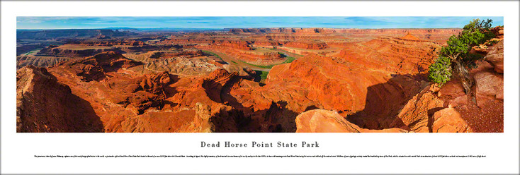 Dead Horse Point State Park Panoramic Art Print