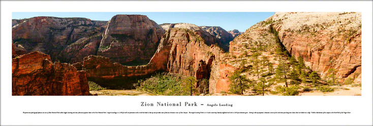 Zion National Park Angels Landing Panoramic Art Print