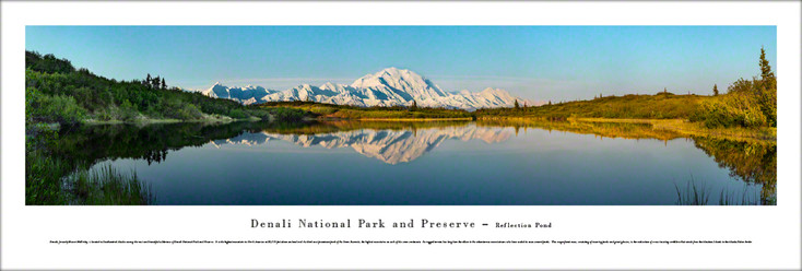 Denali National Park Reflection Pond Panoramic Art Print