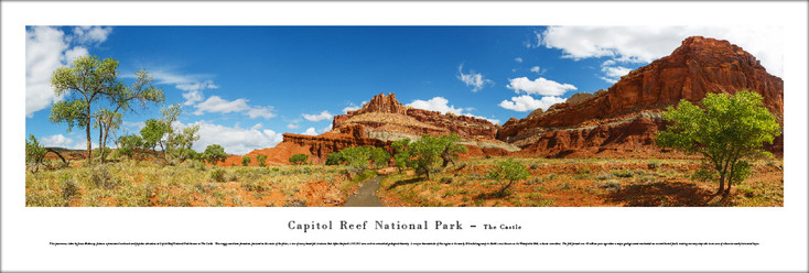 Capitol Reef National Park The Castle Panoramic Art Print