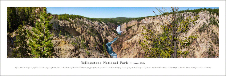 Yellowstone National Park Lower Falls Panoramic Art Print