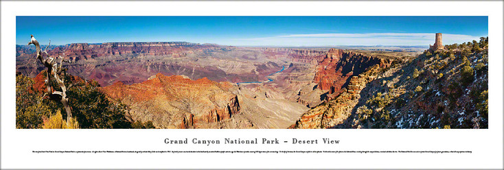 Grand Canyon National Park Desert View Panoramic Art Print