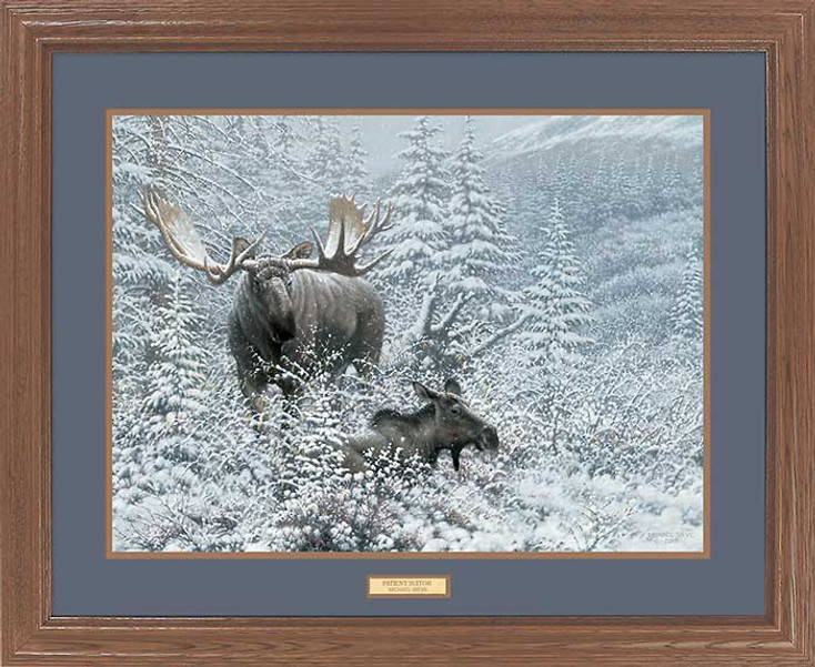 Large Patient Suitor Moose Framed Canvas Art Print Wall Art