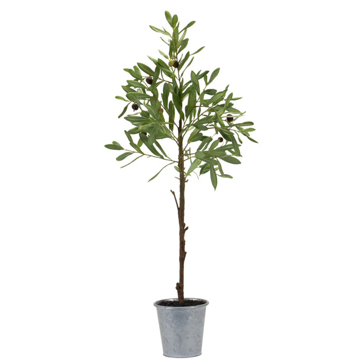 31.5" Potted Olive Tree