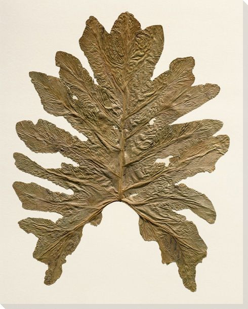 Tree Philodendron Wrapped Canvas Giclee Art Print Wall Art