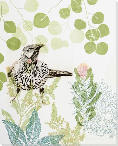 Wattlebird And Pincushion Protea Wrapped Canvas Giclee Art Print Wall Art