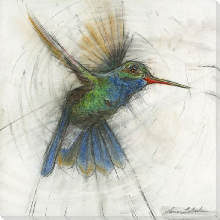 Hummingbird 5 Wrapped Canvas Giclee Art Print Wall Art