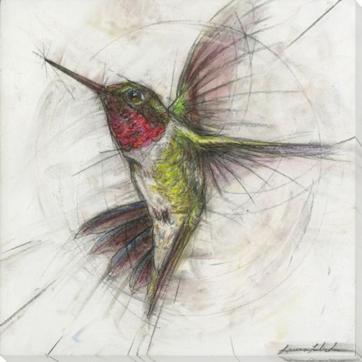 Hummingbird 4 Wrapped Canvas Giclee Art Print Wall Art