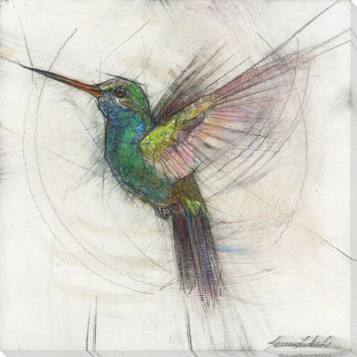 Hummingbird 2 Wrapped Canvas Giclee Art Print Wall Art