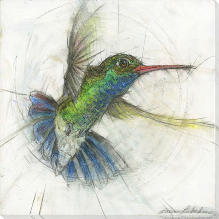 Hummingbird 1 Wrapped Canvas Giclee Art Print Wall Art