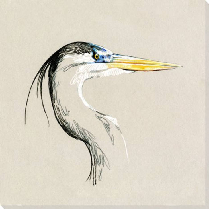 Bright Heron Bird Sketch I Wrapped Canvas Giclee Art Print Wall Art