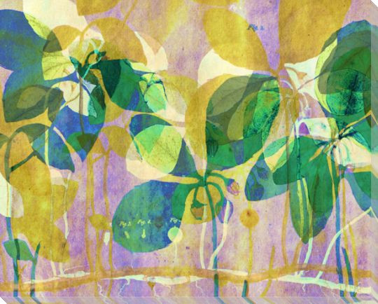 Botanical Musings 2 Wrapped Canvas Giclee Art Print Wall Art