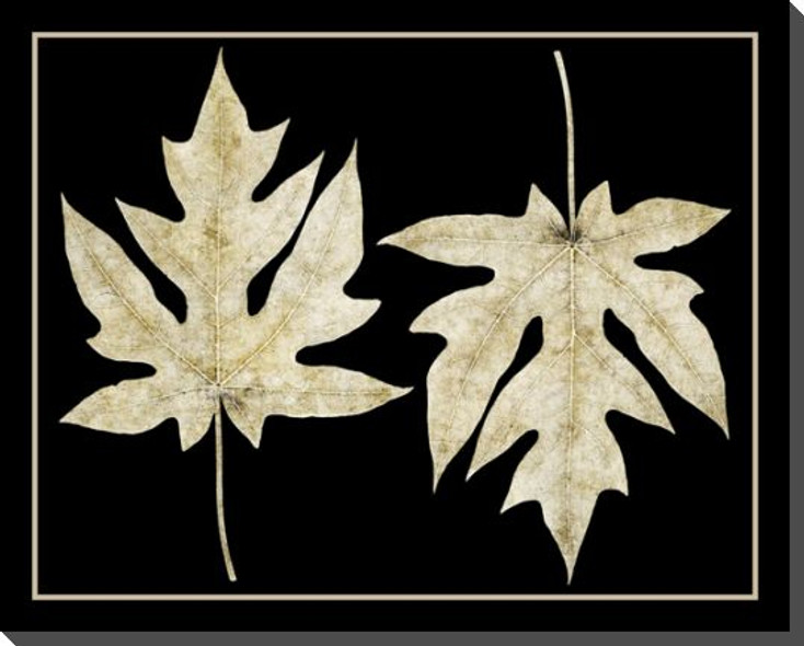 Fossilized Leaves 3 Wrapped Canvas Giclee Art Print Wall Art