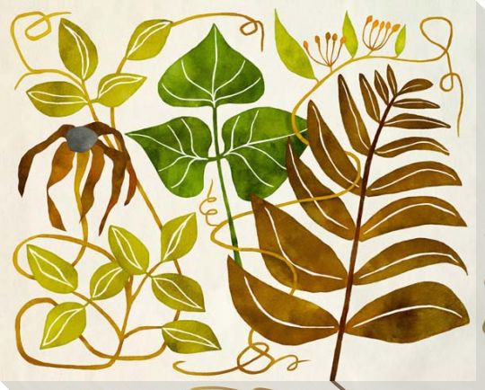 Botanical Mix 5 Wrapped Canvas Giclee Art Print Wall Art