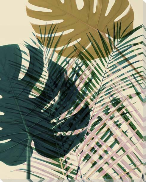 Exsposure 5 Leaves Wrapped Canvas Giclee Art Print Wall Art