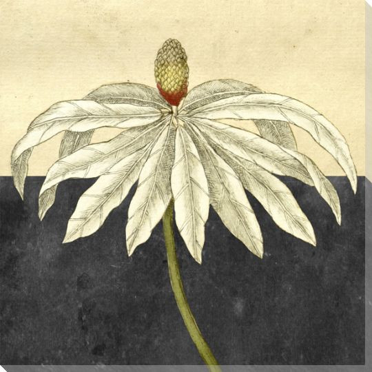 Botanical Series 9 Wrapped Canvas Giclee Art Print Wall Art