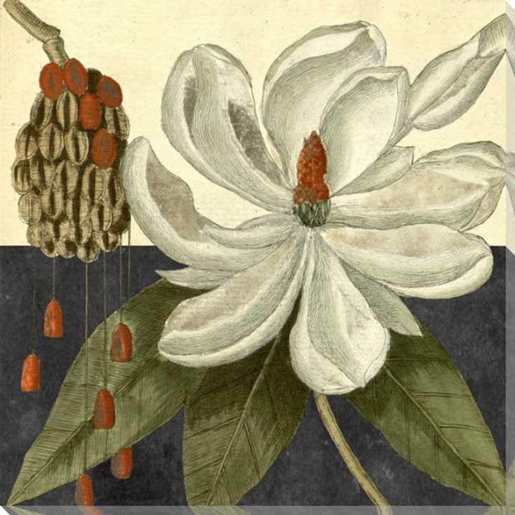 Botanical Series 6 Wrapped Canvas Giclee Art Print Wall Art