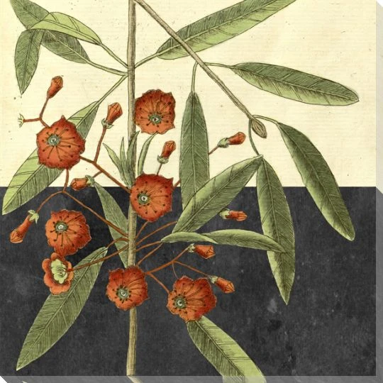 Botanical Series 2 Wrapped Canvas Giclee Art Print Wall Art