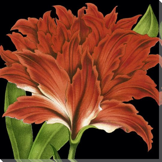 Dramatic Tropical Vision V Wrapped Canvas Giclee Art Print Wall Art
