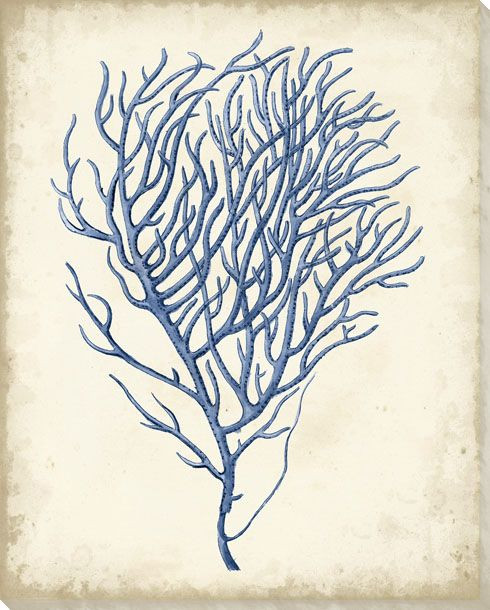 Indigo Coral VI Wrapped Canvas Giclee Art Print Wall Art