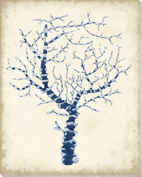 Indigo Coral II Wrapped Canvas Giclee Art Print Wall Art